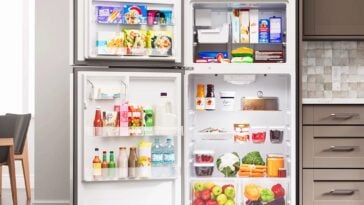 Kenmore Standard Icemaker Refrigerator open ©Image Credit: Kenmore