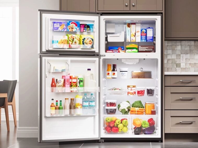 Kenmore Standard Icemaker Refrigerator open ©Image Credit: Kenmore