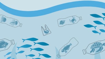 A breakthrough hydrogel lifts hidden microplastics from the deep ocean to the surface, making cleanup possible | ©Image Credit: RosZie/Pixabay