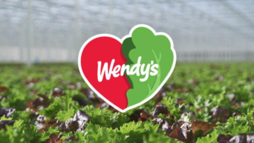 Customers say Wendy's new lettuce “ruins” the sandwiches' taste ©Image Credit: Wendy's
