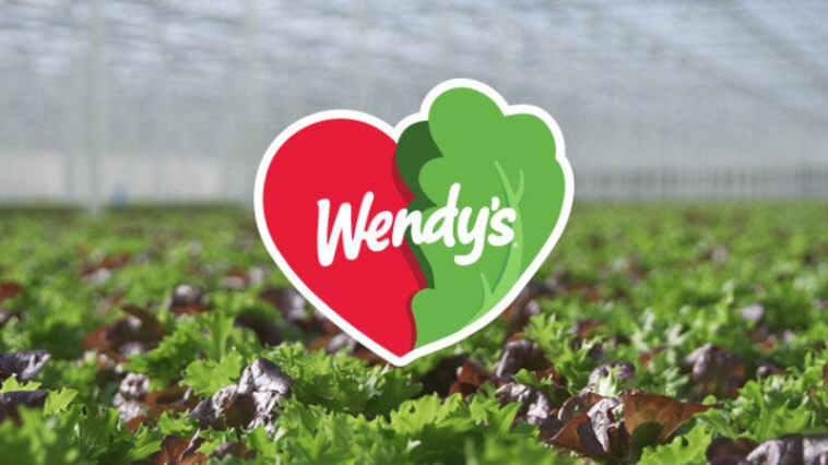 Wendy's quietly changed their sandwiches and customers are upset 1 Customers say Wendy's new lettuce “ruins” the sandwiches' taste ©Image Credit: Wendy's
