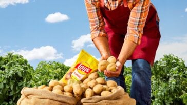 According to Lay's, 42% of Lay’s customers reportedly had no idea their chips were made from actual potatoes. ©Image Credit: Lay's