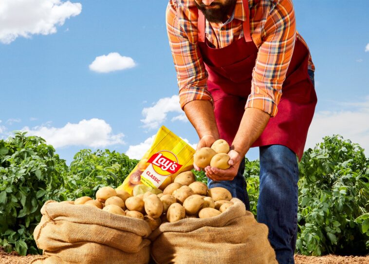 Lay's says 42% of customers didn't know chips are potatoes 1 According to Lay's, 42% of Lay’s customers reportedly had no idea their chips were made from actual potatoes. ©Image Credit: Lay's