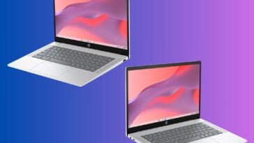 HP N200 14-inch Chromebook ©Image Credit: HP