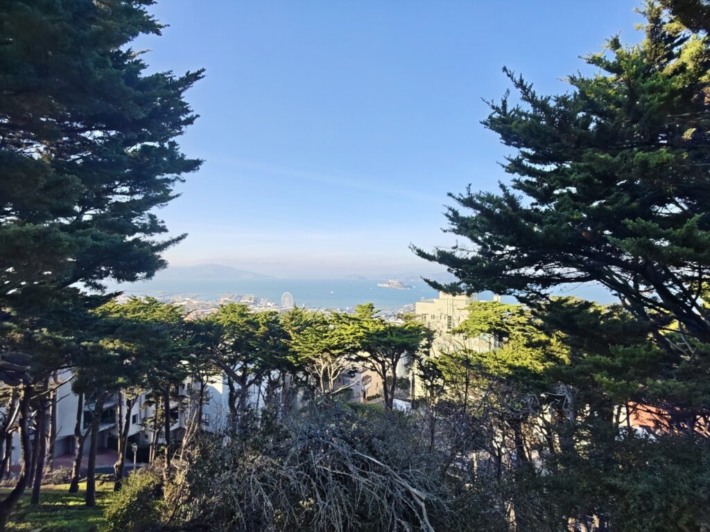 Taken with Poco F8 Ultra 50MP ultrawide camera ©Image Credit: GEEKSPIN