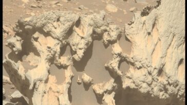 Close-up of Phippsaksla, an unusual rock discovered by NASA's Perseverance rover in Mars' Jezero Crater | ©Image Credit: NASA/JPL-Caltech/ASU
