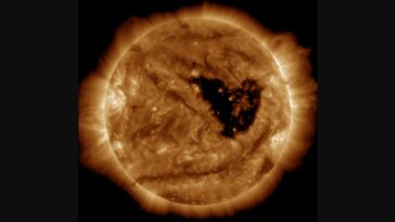 This butterfly-shaped coronal hole on the Sun, first observed in September, has drawn widespread attention on social media for its unusual wing-like shape | ©Image Credit: NASA/SDO/AIA