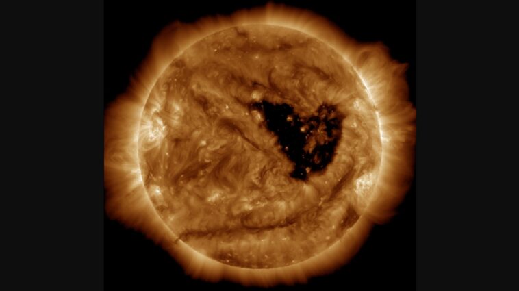 This butterfly-shaped coronal hole on the Sun, first observed in September, has drawn widespread attention on social media for its unusual wing-like shape | ©Image Credit: NASA/SDO/AIA