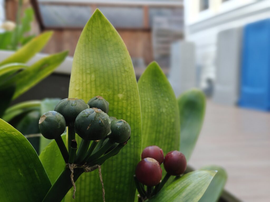 OnePlus 15R review: A perfect midrange phone for gamers 2