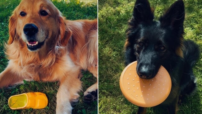 McDonald’s France launches limited Happy Doggy chew toys | ©Image Credit: McDonald's France