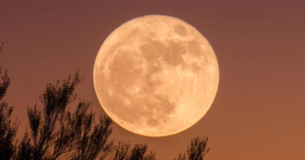 The final supermoon of 2025 rises this week - GEEKSPIN