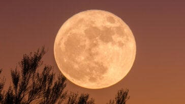 The final full moon of 2025 rises Thursday — a luminous Cold Moon you won’t want to miss. | ©Image Credit: Ganapathy Kumar/Unsplash