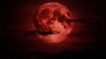 From Hawaii to Australia, Pacific region residents will have front-row seats to a spectacular 'blood moon' visible for nearly an hour ©Image Credit: GEEKSPIN / Nano Banana generated