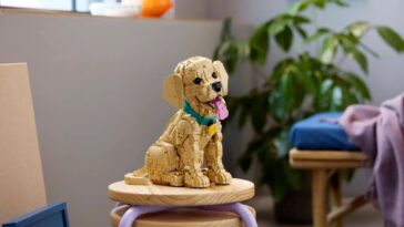 LEGO Icons Golden Retriever Puppy Set ©Image Credit: LEGO