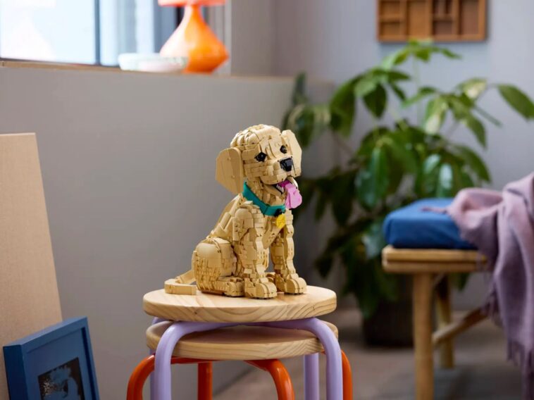LEGO Icons Golden Retriever Puppy Set ©Image Credit: LEGO