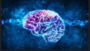 Why scientists believe they can now grow new brain cells | ©Image Credit: MVP Medical Care