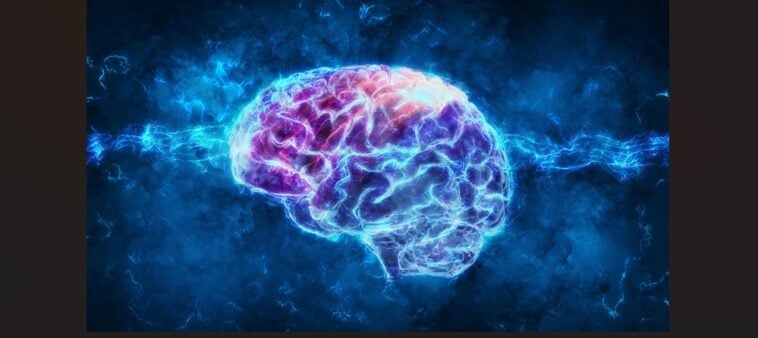 Why scientists believe they can now grow new brain cells | ©Image Credit: MVP Medical Care