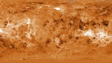 Global topographic map of Venus from NASA Magellan radar data, showing the planet's volcanic surface | ©Image Credit: NASA / JPL / Caltech