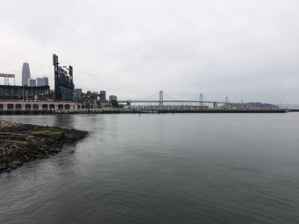 Tecno Camon 50 Pro review: The best budget smartphone camera 2 Tecno Camon 50 Pro 50MP main camera ©Image Credit: GEEKSPIN