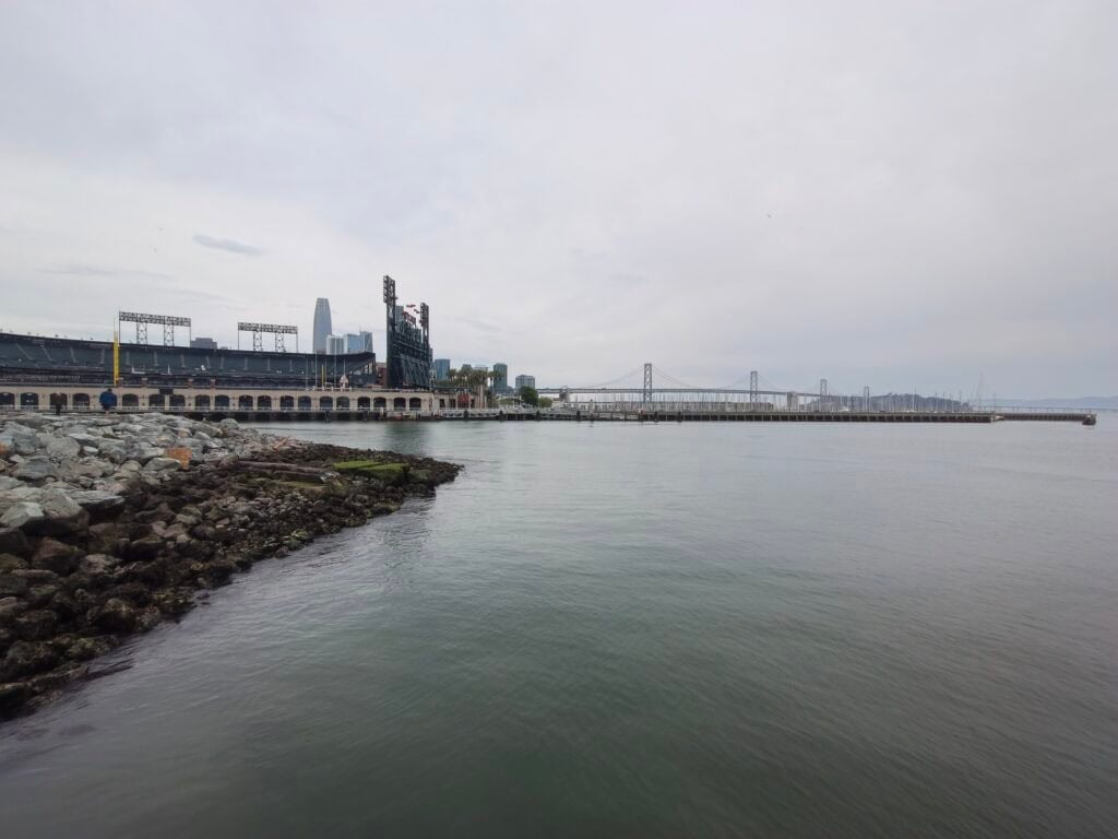 Tecno Camon 50 Pro review: The best budget smartphone camera 6 Tecno Camon 50 Pro 8MP ultrawide camera ©Image Credit: GEEKSPIN