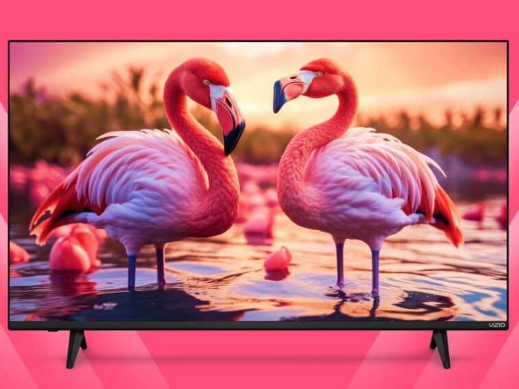 VIZIO 4K LED TV ©Image Credit: VIZIO