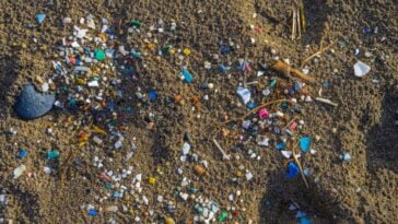 EPA and HHS move to monitor microplastics and pharmaceuticals in drinking water | Image Credit: GaiBru Photo licensed under CC BY-NC-ND 4.0. Cropped for layout