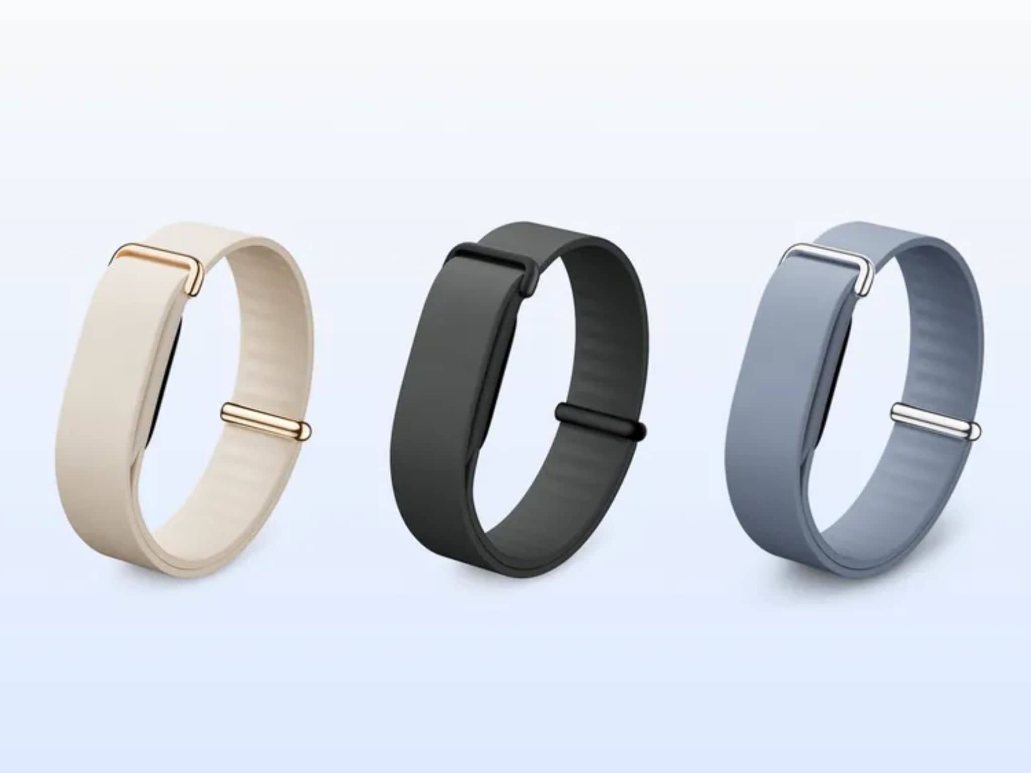 Fitbit Air in the Elevated Loop ©Image Credit: Google