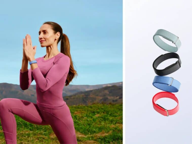 Google Fitbit Air ©Image Credit: Google