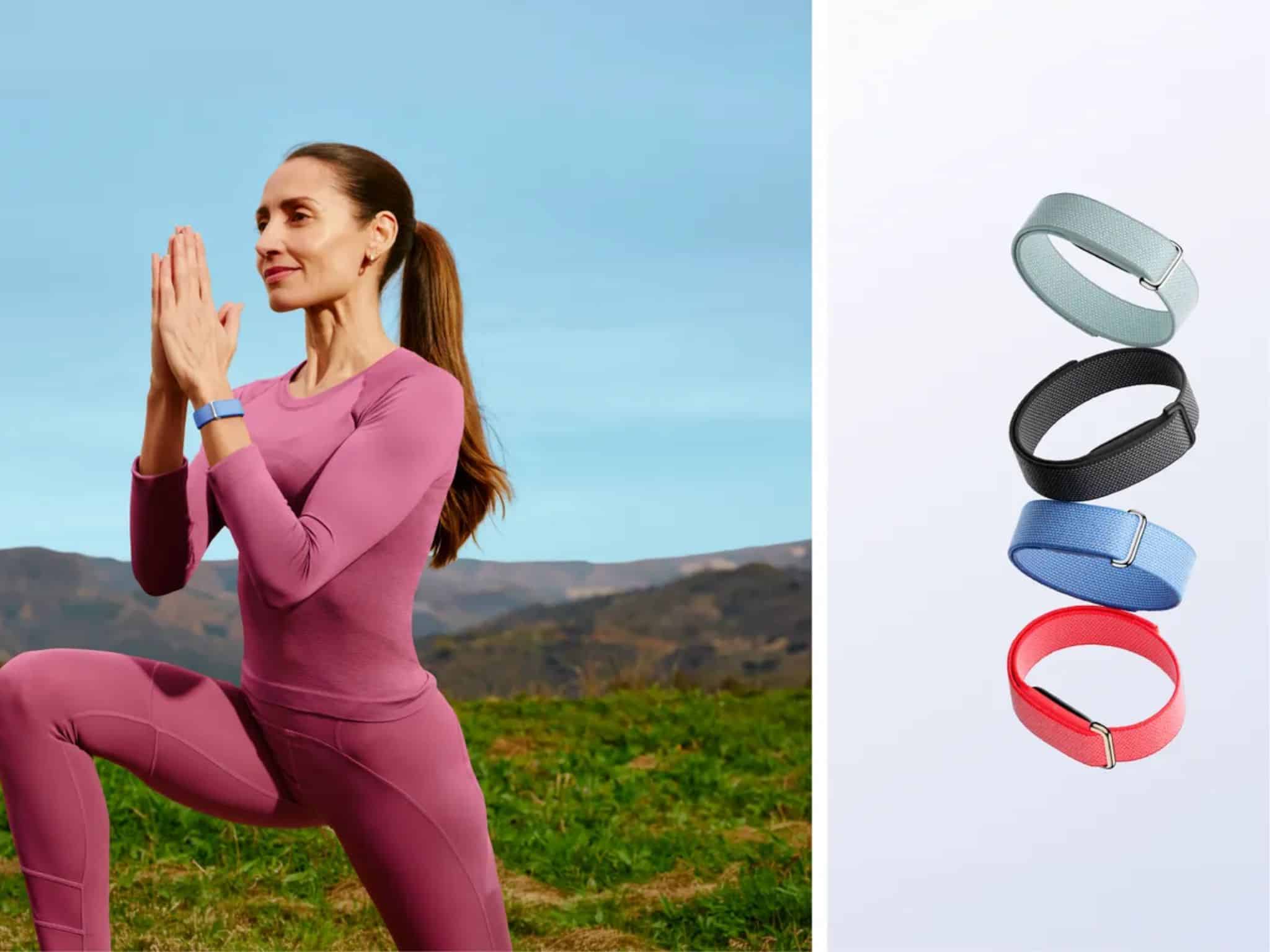 Google Fitbit Air ©Image Credit: Google
