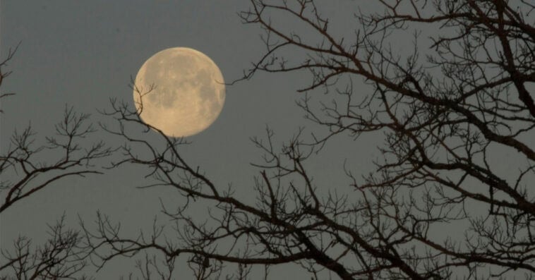 The rare blue micromoon rises this weekend — smaller, dimmer, and not returning until 2028. | ©Image Credit: Gary Fultz / Unsplash