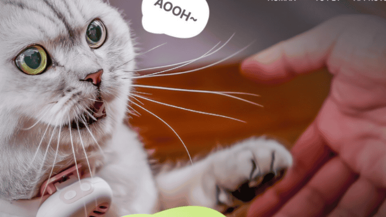 New AI collar lets your dog talk to you with 95% accuracy 1 A Chinese startup claims its AI collar translates pet sounds into human language with 95% accuracy | ©Image Credit: PettiChat