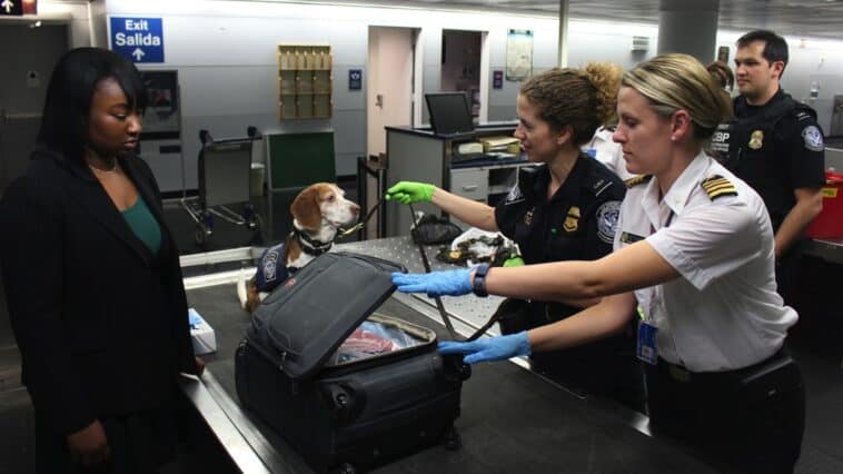 Medical marijuana is now officially listed as "allowed" on the TSA website, but traveling with it still comes with a major catch. ©Image Credit: Unsplash / CDC
