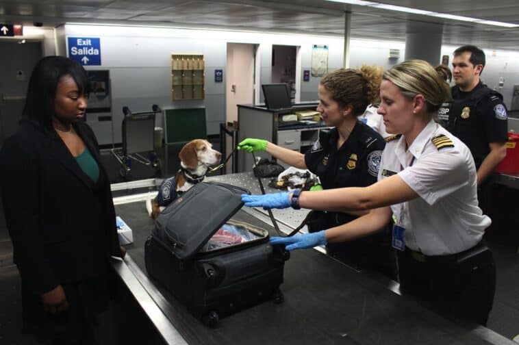 TSA now allows medical marijuana on flights 1 Medical marijuana is now officially listed as "allowed" on the TSA website, but traveling with it still comes with a major catch. ©Image Credit: Unsplash / CDC
