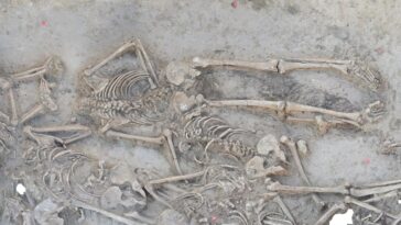 New research into the Vráble site reveals that the bodies were intentionally and neatly manipulated after death | ©Image Credit: Dr. Till Kuhl, Institute for Pre- and Protohistoric Archaeology / Kiel University