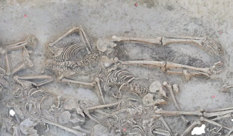 Scientists baffled by 77 headless Stone Age skeletons 1 New research into the Vráble site reveals that the bodies were intentionally and neatly manipulated after death | ©Image Credit: Dr. Till Kuhl, Institute for Pre- and Protohistoric Archaeology / Kiel University