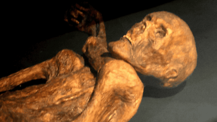Ötzi the Iceman, the 5,300-year-old natural mummy whose remarkably preserved body continues to reveal new scientific secrets | ©Image Credit: Wikimedia Commons / 120