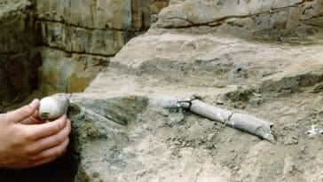 13,000-year-old human remains discovered on California's Channel Islands may reveal secrets about the first Americans. | ©Image Credit: Timeline - World History Documentaries / YouTube