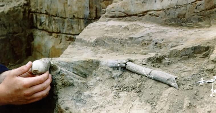13,000-year-old bones found in California could rewrite history 1 13,000-year-old human remains discovered on California's Channel Islands may reveal secrets about the first Americans. | ©Image Credit: Timeline - World History Documentaries / YouTube