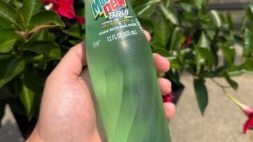 Your favorite tropical soda is getting a massive upgrade: Baja Blast in a glass bottle is finally here. ©Image Credit: Mountain Dew