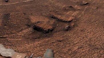 NASA's Curiosity rover captured this unusual Martian landscape covered in honeycomb-like polygonal fractures stretching across Valle Grande. | ©Image Credit: NASA