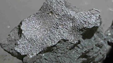 The two-pound Hillsborough meteorite fragment crashed straight through a New Jersey roof and landed in a master bedroom ©Image Credit: SETI Institute