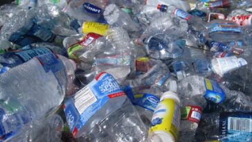 Microplastics are helping bacteria build thick armor-like biofilms, boosting their antibiotic resistance by up to 100 times and creating superbugs. ©Image Credit: Unsplash / Tanvi Sharma