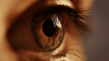 A tiny retinal implant called PRIMA is giving some blind adults back the ability to read and recognize faces | ©Image Credit: Unsplash / Marc Schulte