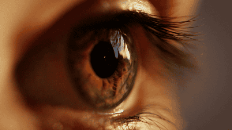 A tiny retinal implant called PRIMA is giving some blind adults back the ability to read and recognize faces | ©Image Credit: Unsplash / Marc Schulte