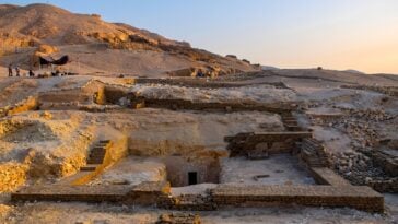 Archaeologists discovered a mummified dog buried directly above the remains of a man and woman inside an ancient Egyptian tomb | ©Image Credit: Proyecto dos cero nueve / José Miguel Barrios Mufrege