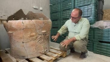 Unearthed at Gökhöyük near Seydişehir, this massive 5,000-year-old ceremonial vessel features five handles and intricate artwork depicting a human face above a tree of life. Researchers believe it was intentionally buried face-down as part of an ancient ritual. ©Image Credit: AA