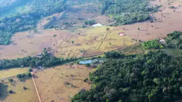 Aerial visual of dense Amazon rainforest canopy mapped with LiDAR laser tech showing hidden geometric geoglyph earthworks. ©Image Credit: Martti Pärssinen