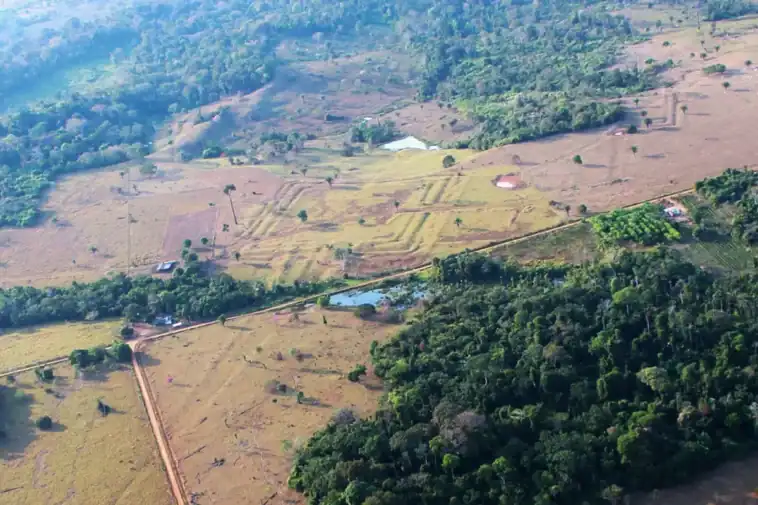 Aerial visual of dense Amazon rainforest canopy mapped with LiDAR laser tech showing hidden geometric geoglyph earthworks. ©Image Credit: Martti Pärssinen