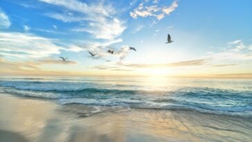 Global sea surface temperatures break all-time records, reaching levels unseen in over 12,000 years. ©Image Credit: Unsplash / Frank Mckenna
