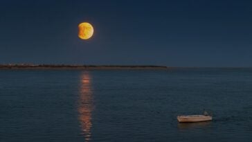 A deep partial lunar eclipse captured over southern Portugal on 16th of July 2019. A similar view is expected across the Americas on August 27–28, 2026 | ©Image Credit: ToryYu1989 (CC0 1.0 Universal)